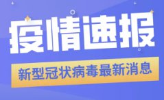新澳精準(zhǔn)正版資料免費(fèi)119期 03-09-31-40-47-49Z：33,新澳精準(zhǔn)正版資料免費(fèi)分享，探索第119期的秘密與策略分析